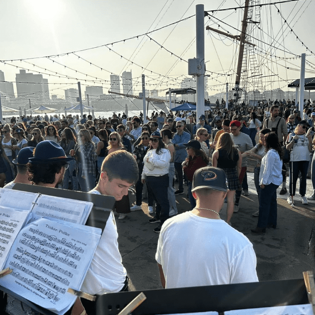 Panzeri Musical Services